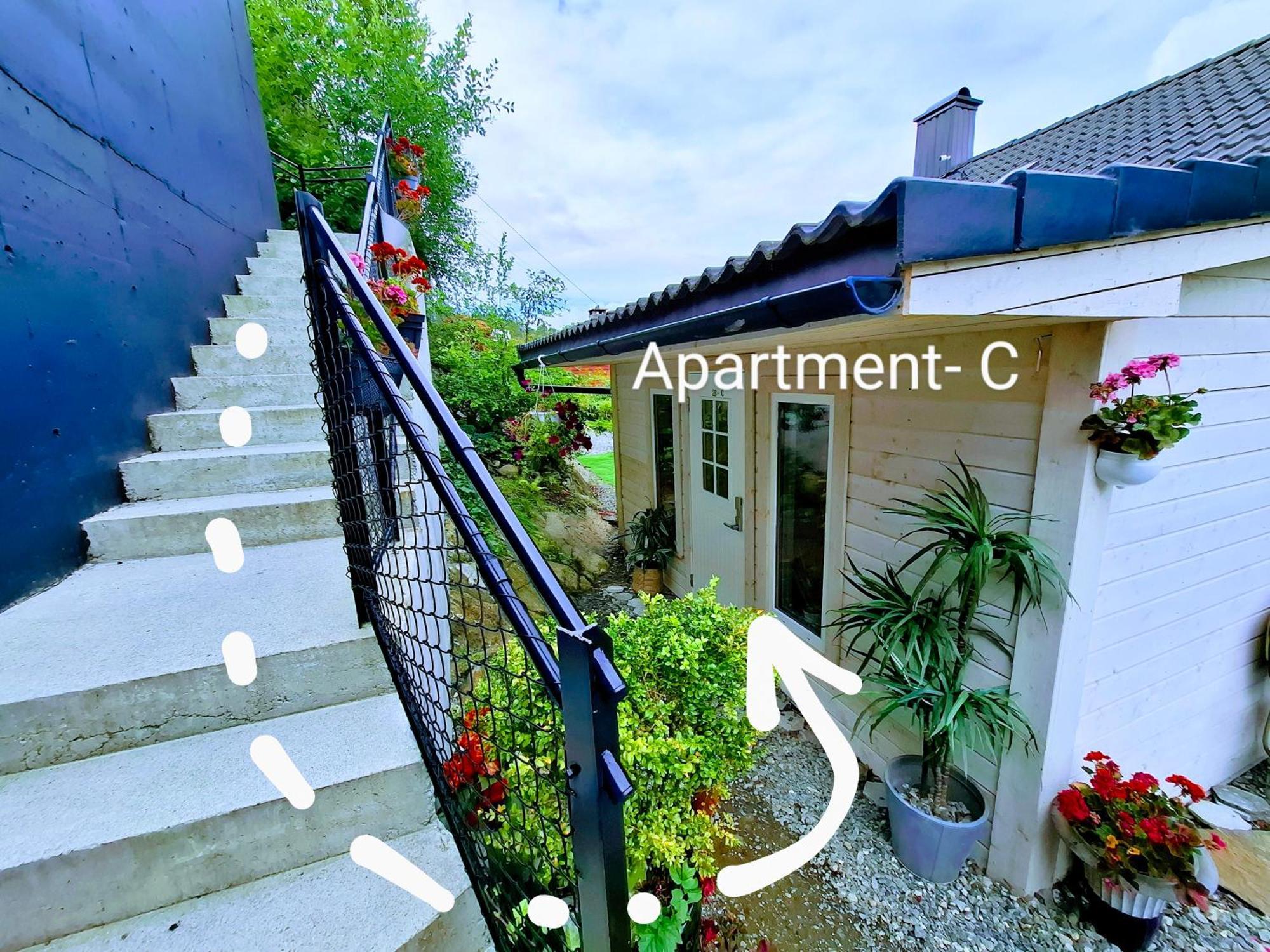 Bergen Sunrise Terrace Apartment المظهر الخارجي الصورة